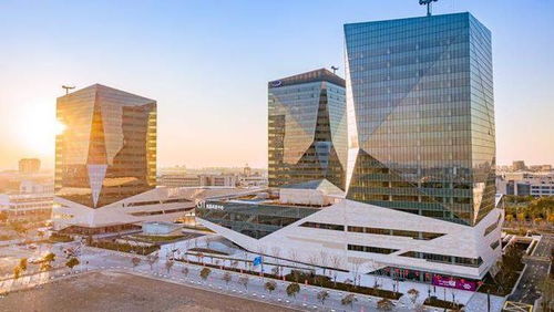 今日實(shí)施 解讀臨港新片區(qū)首部地方性法規(guī)