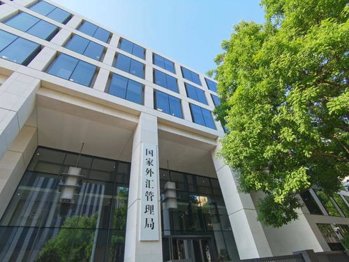 國家外匯局發(fā)布通知擴大跨境貿(mào)易投資高水平開放試點